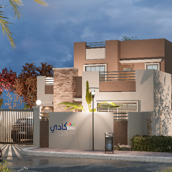 cadi image